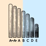 VAP destek programı