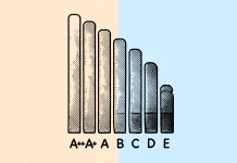 VAP Destek Programı Nedir? VAP destek programı