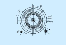 füzyon için müon kullanımı