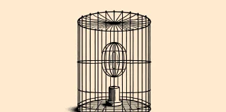 faraday kafesi